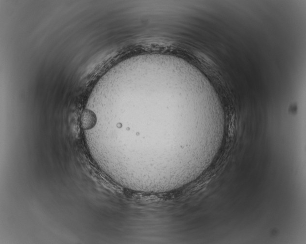 X0000116560774200912311932