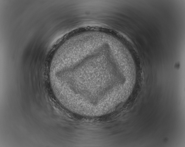 X0000116560775200912311932