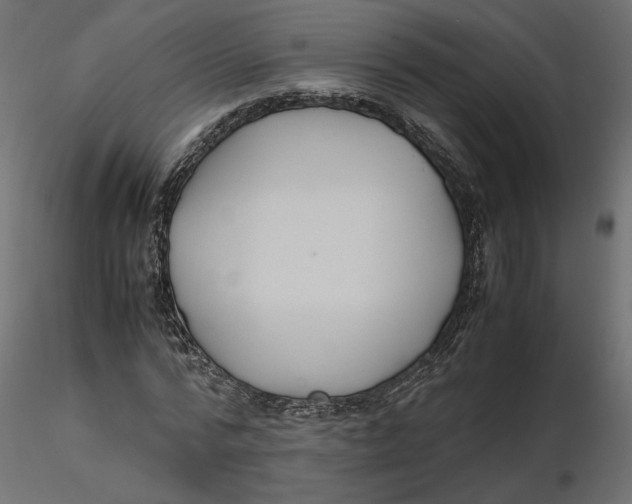 X0000116560776200912311932