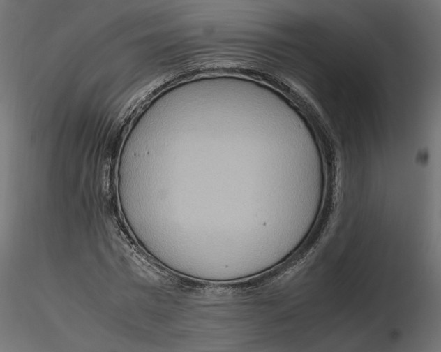 X0000116560777200912311932