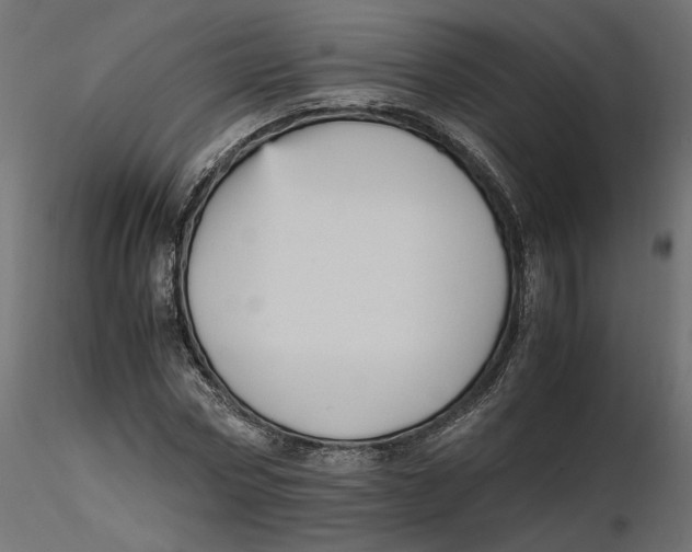 X0000116560778200912311932