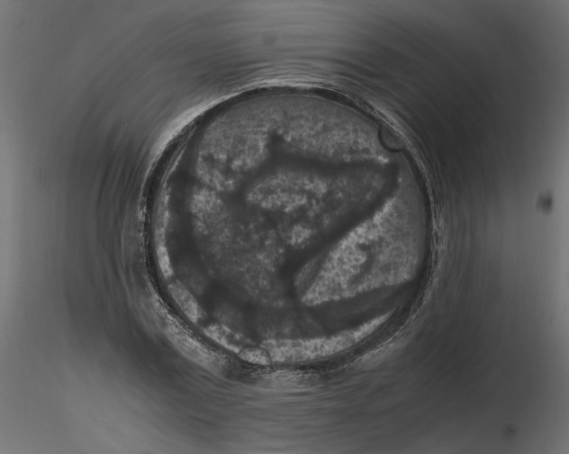 X0000116560779200912311932