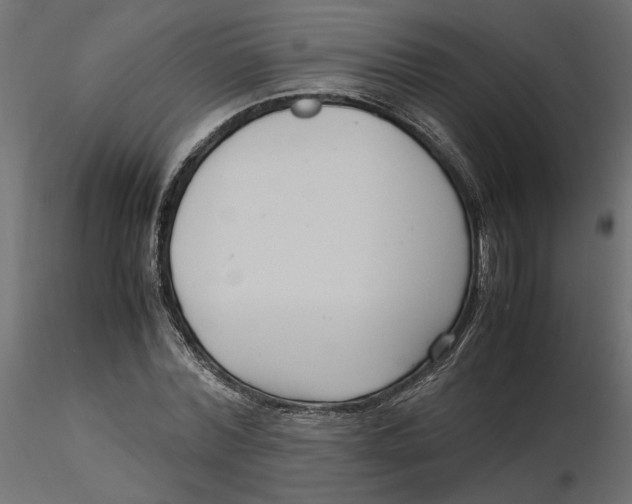 X0000116560780200912311931