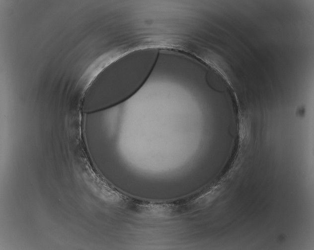 X0000116560781200912311931