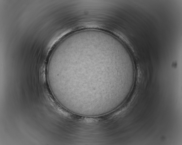 X0000116560782200912311931