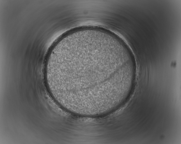 X0000116560783200912311931