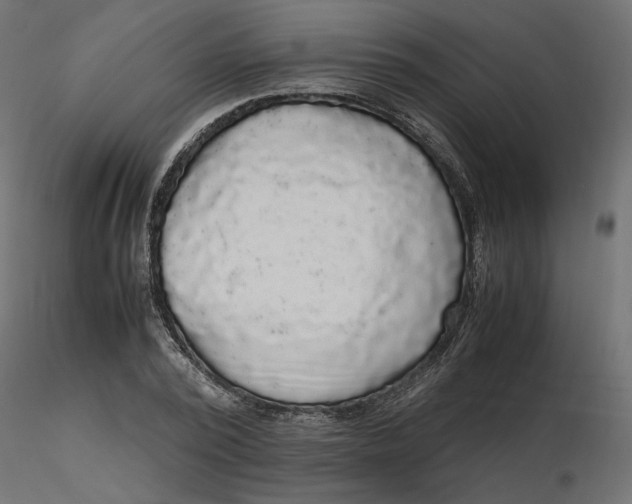 X0000116560784200912311931