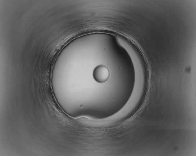 X0000116560785200912311931