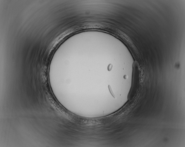 X0000116560786200912311931