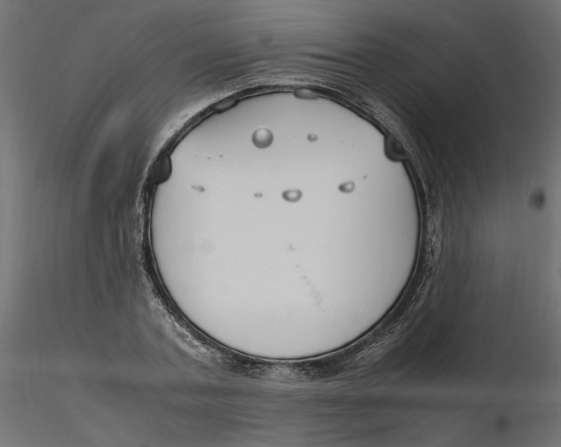 X0000116560787200912311931