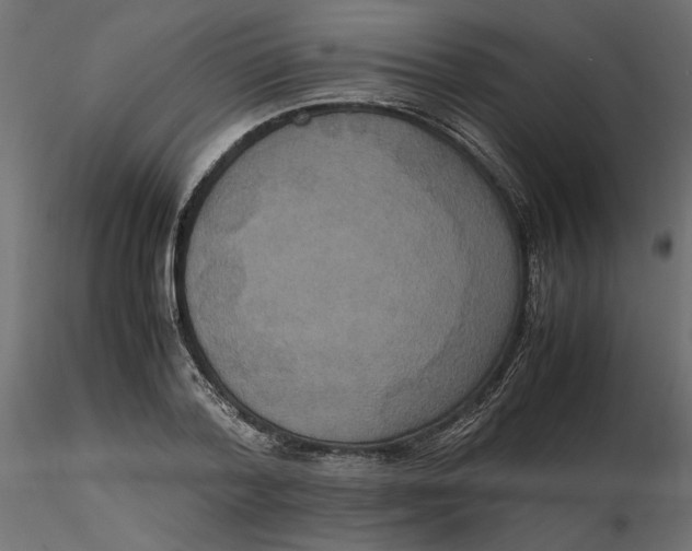 X0000116560788200912311931