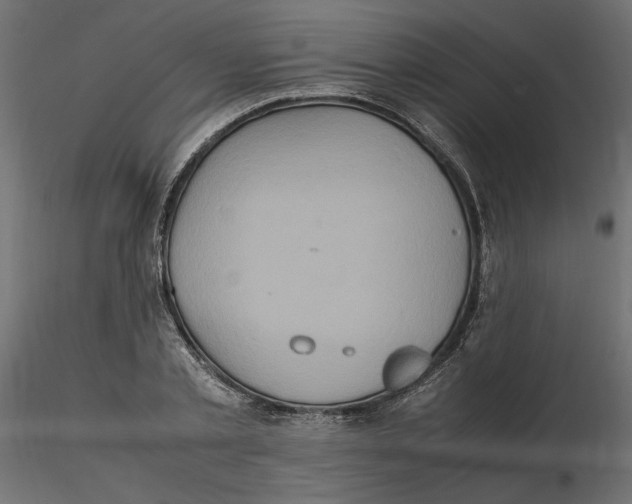 X0000116560789200912311931