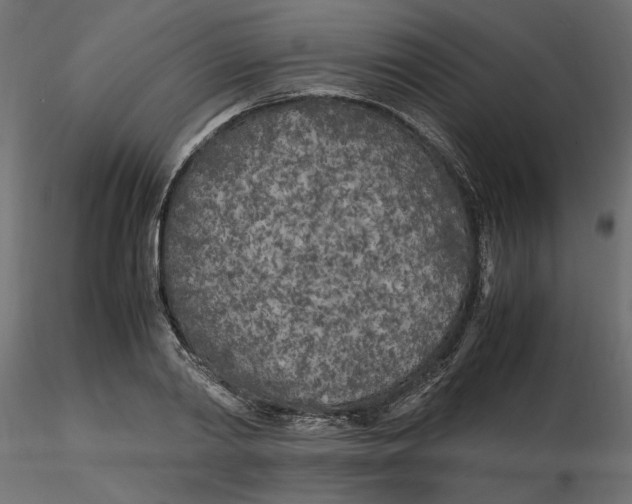 X0000116560790200912311931