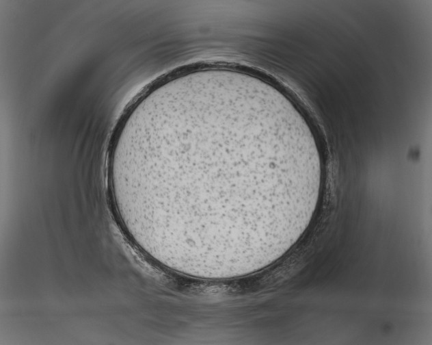 X0000116560791200912311931