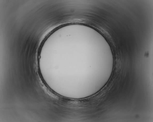 X0000116560792200912311931