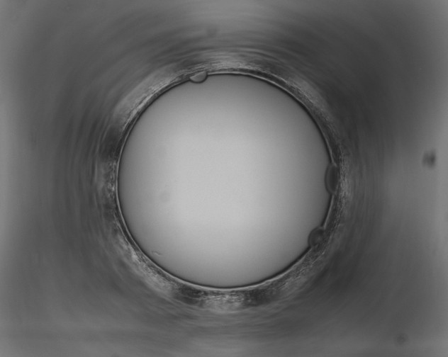 X0000116560793200912311931