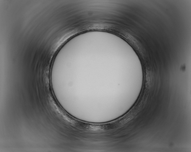 X0000116560794200912311931