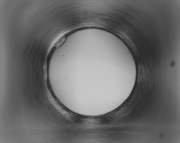 X0000116560796200912311931