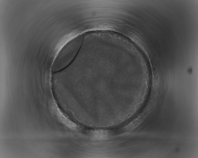 X0000116560797200912311931