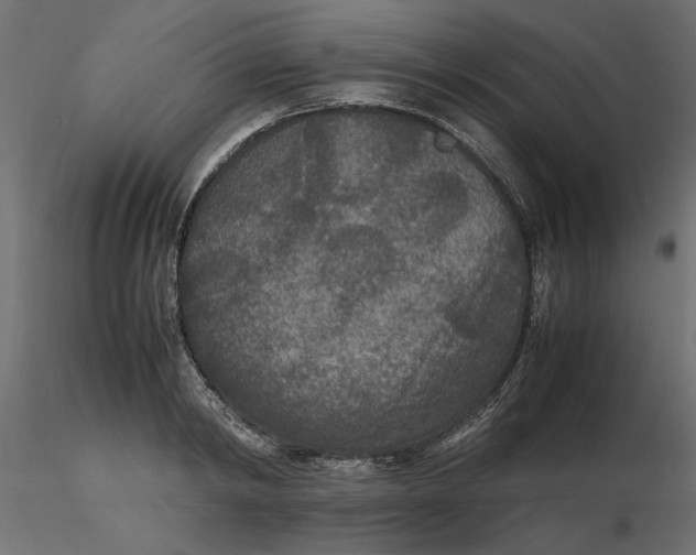 X0000116560798200912311931