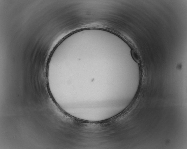 X0000116560800200912311931