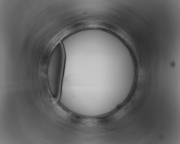 X0000116560801200912311931