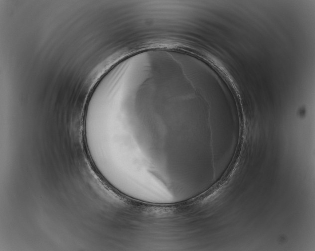 X0000116560802200912311931