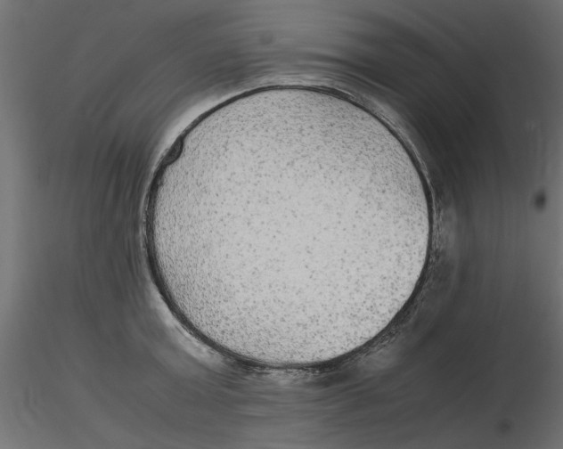 X0000116560803200912311931