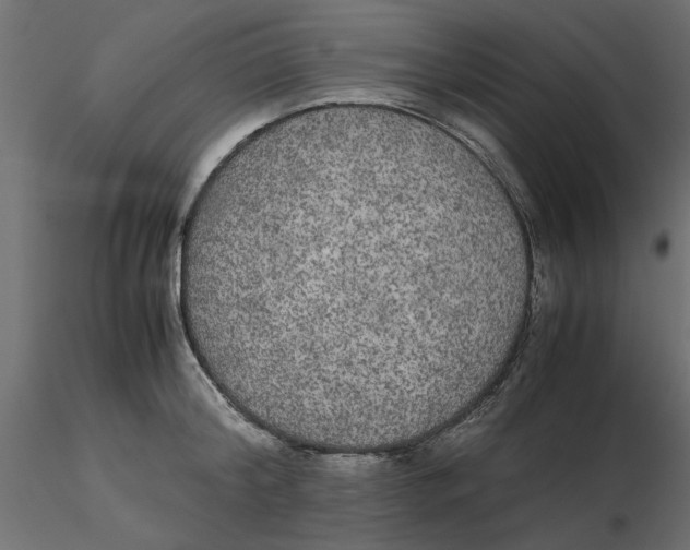 X0000116560804200912311931