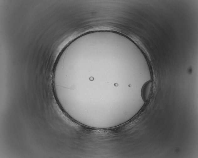 X0000116560805200912311931