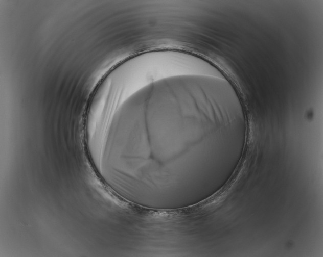 X0000116560806200912311931