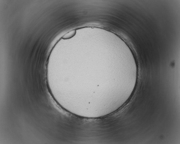 X0000116560808200912311931