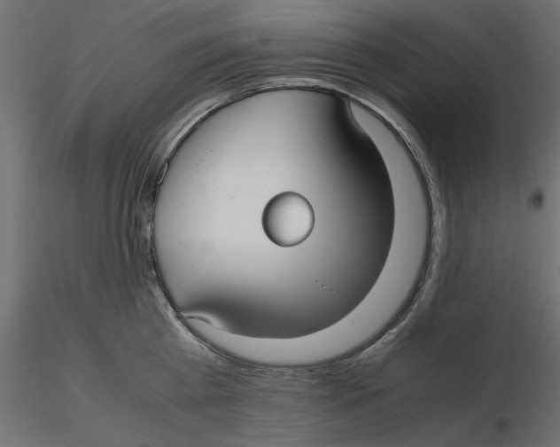 X0000116560809200912311931