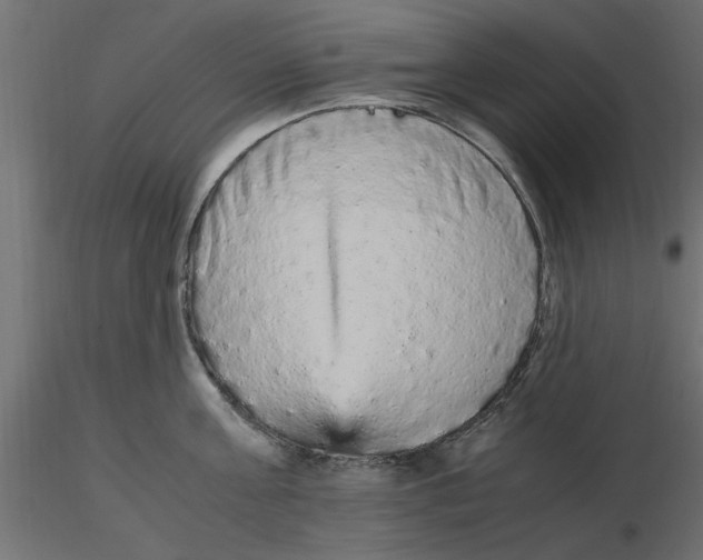 X0000116560811200912311931