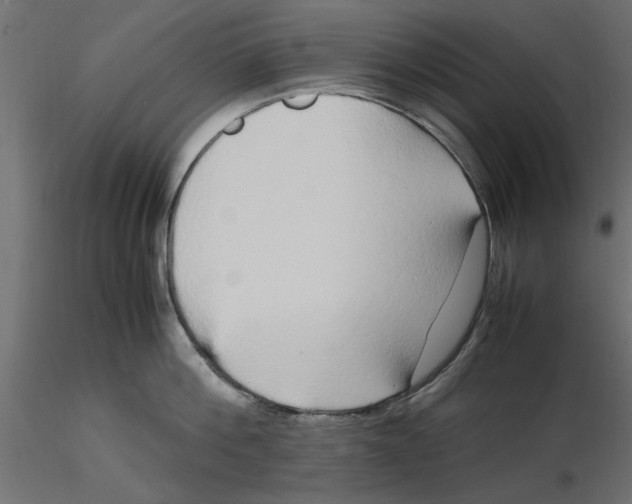 X0000116560812200912311931