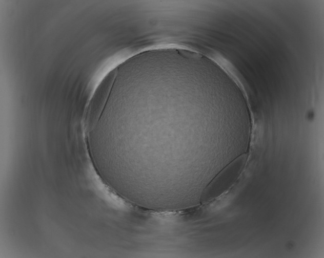 X0000116560813200912311931