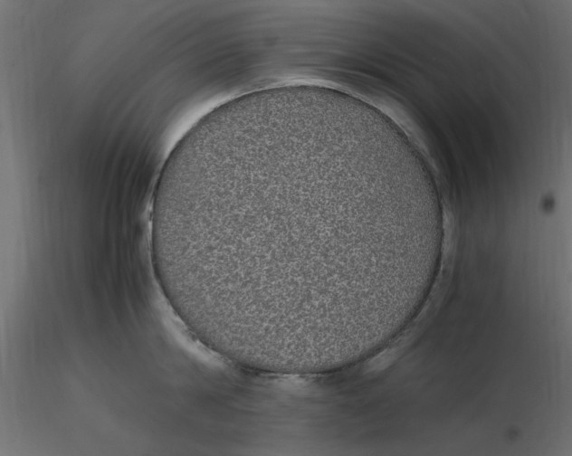 X0000116560814200912311931