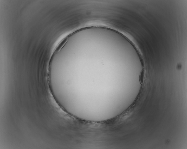 X0000116560815200912311931