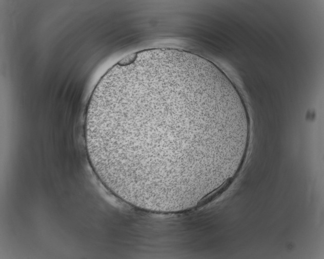 X0000116560816200912311931