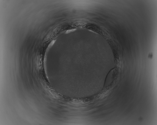 X0000116560818200912311930