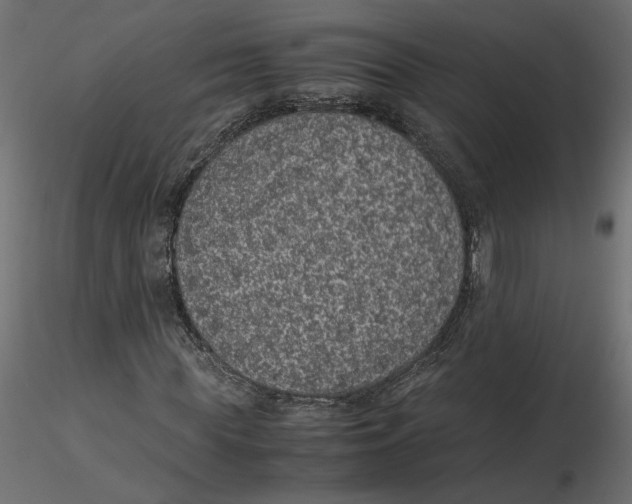 X0000116560819200912311930