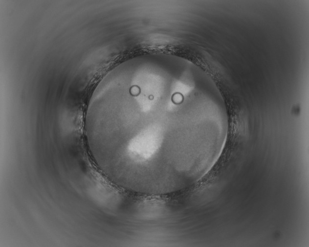 X0000116560820200912311930