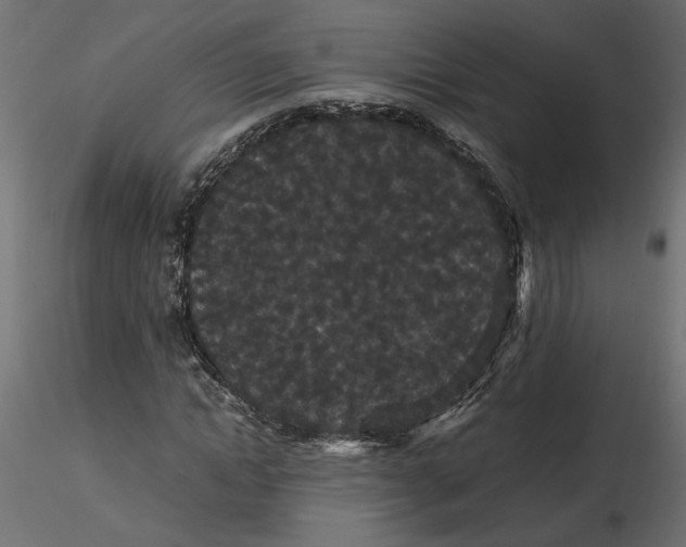 X0000116560822200912311930