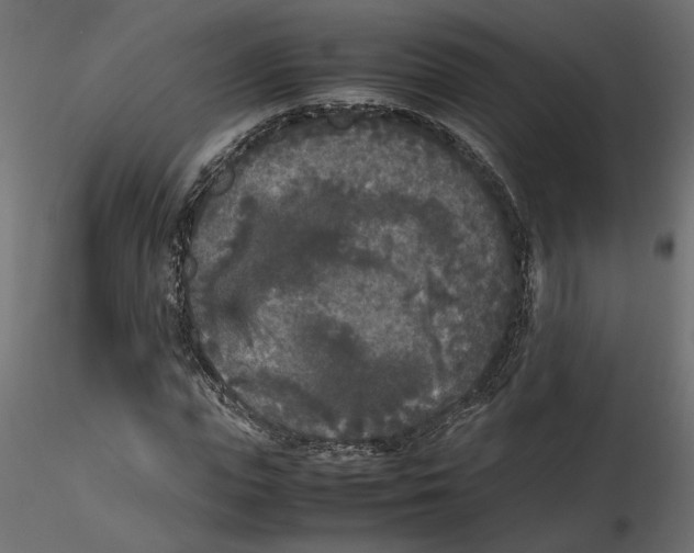 X0000116560823200912311930