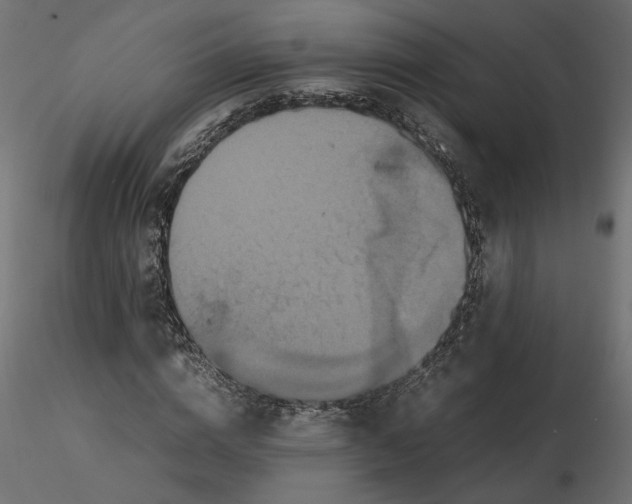 X0000116560824200912311930