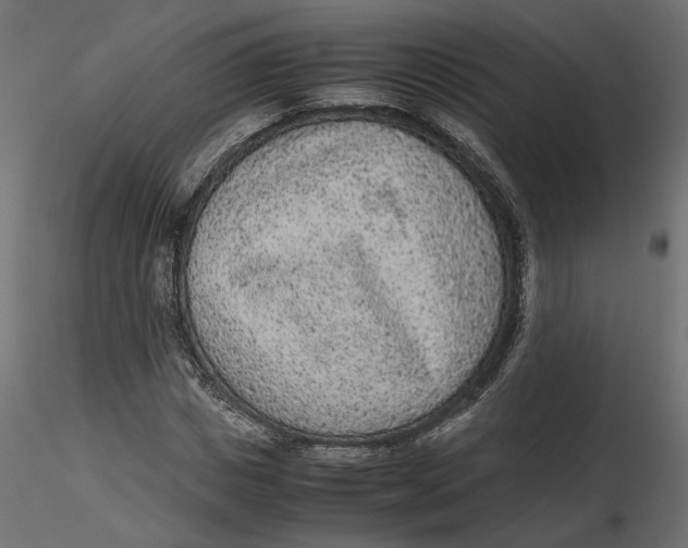 X0000116560825200912311930