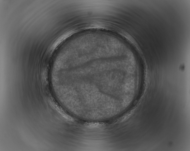 X0000116560826200912311930