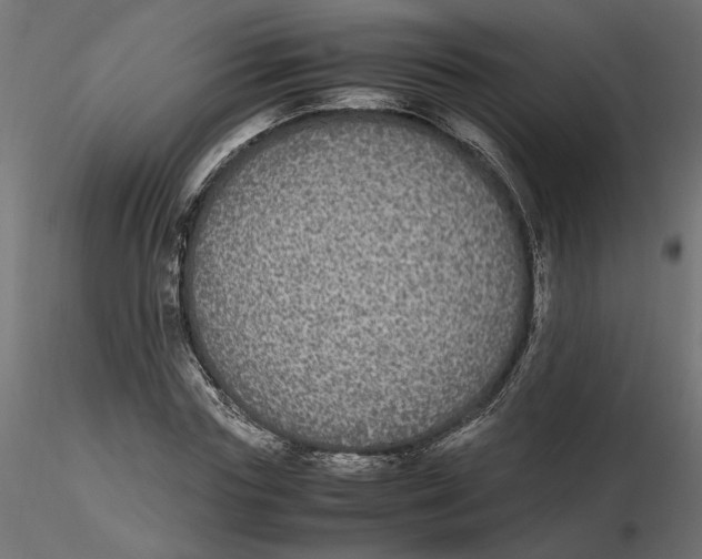 X0000116560827200912311930