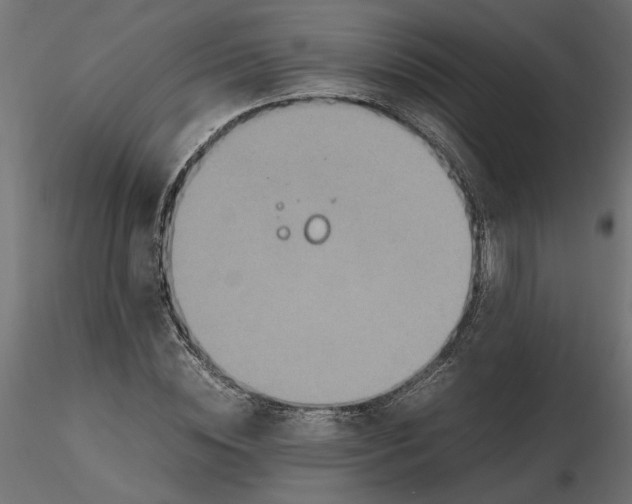 X0000116560828200912311931