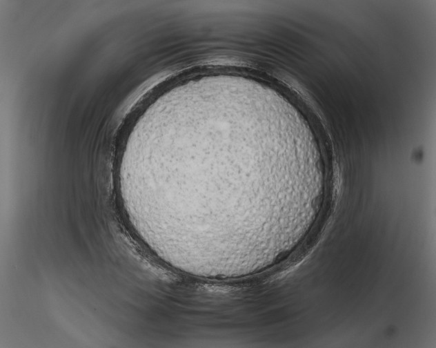 X0000116560829200912311931